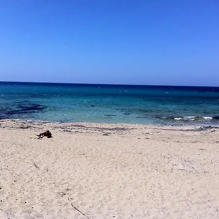 Sea Bungalow Holiday home Stavros (Crete)